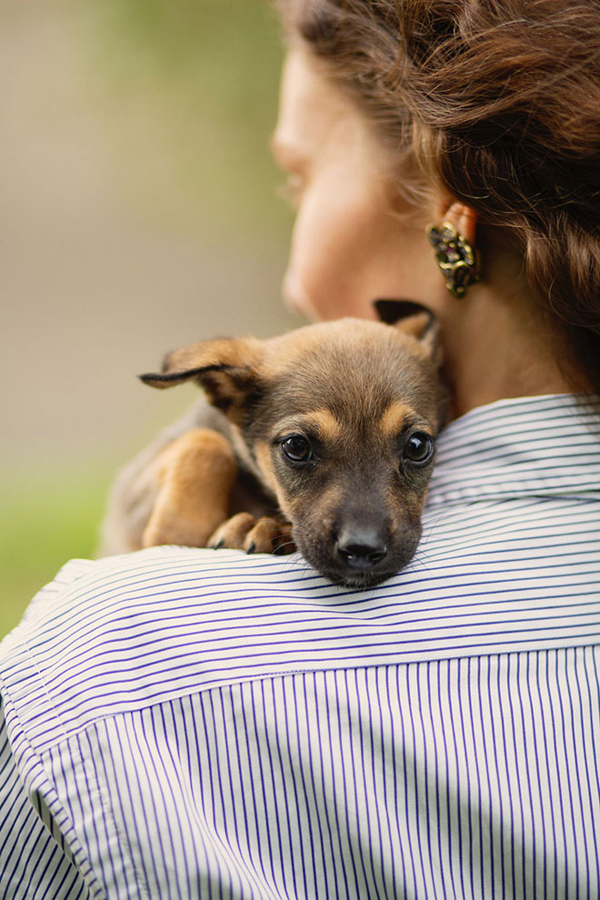 Benefits Of Pet Ownership When Renting